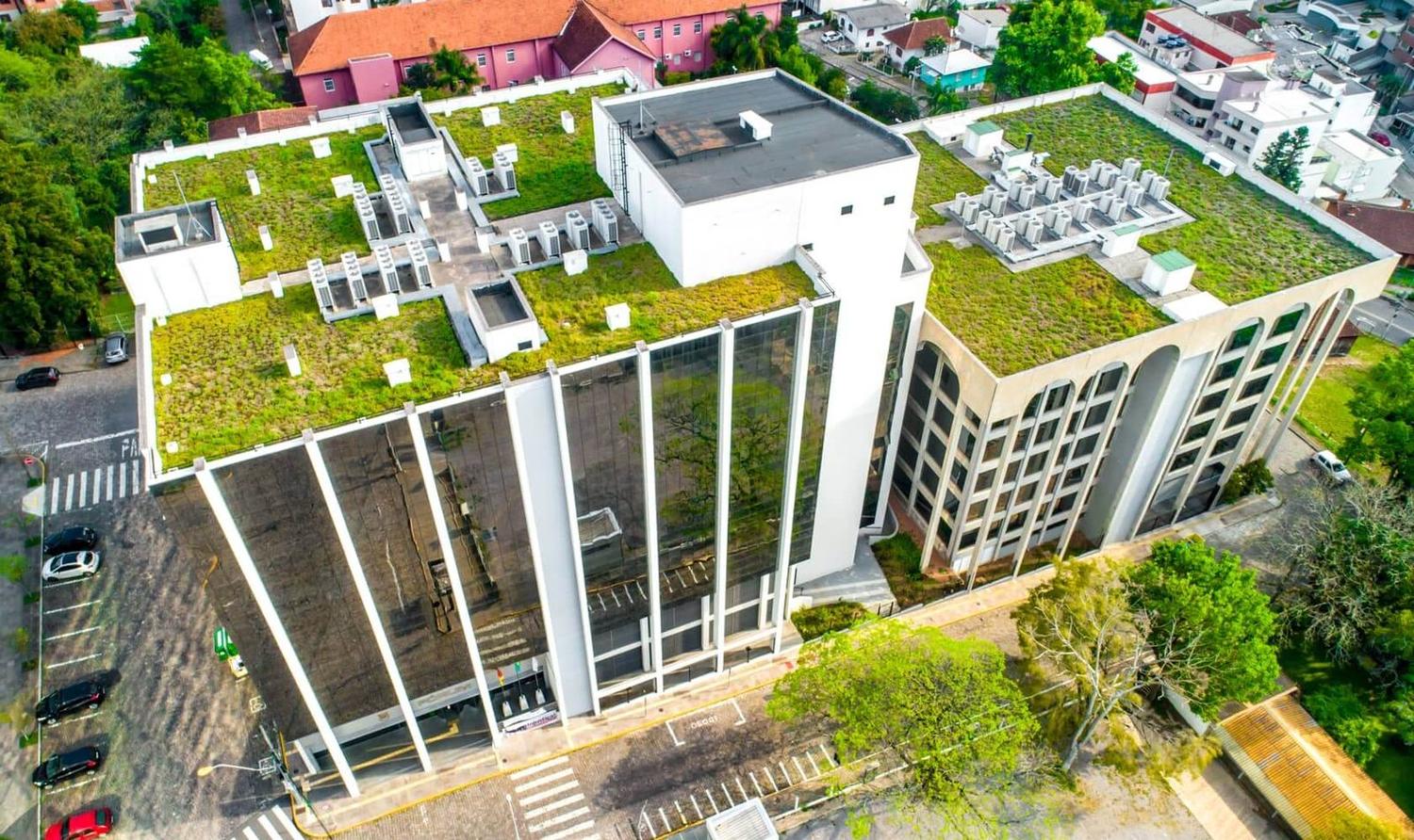 Toiture végétalisée installée par AN-CONCEPT